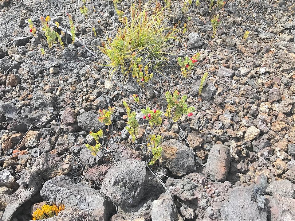 2nd image of Ohia Dr Lot 6