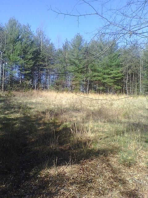 2nd image of 250 Badger Ridge Ln
