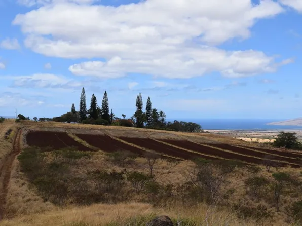 0 Omaopio, Kula, HI 96790