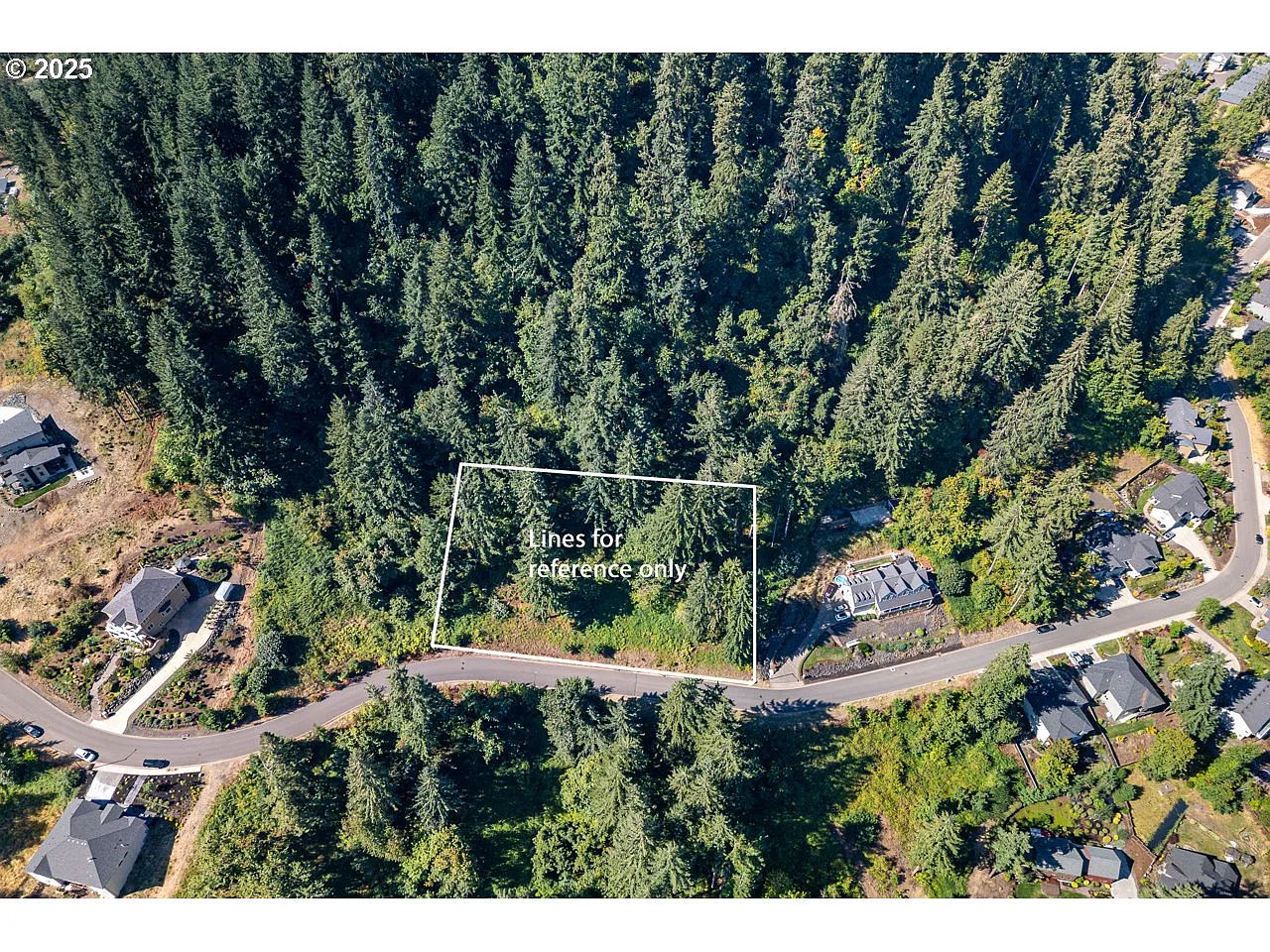 Forest Ridge Dr photo 1