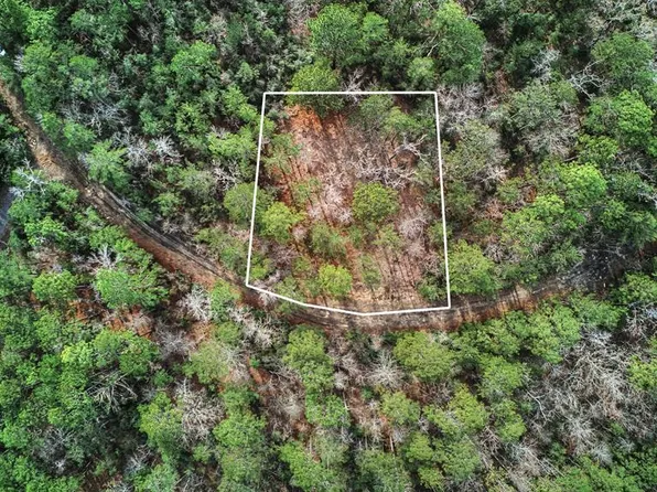 173 Sassafras Dr, Brookeland, TX 75931