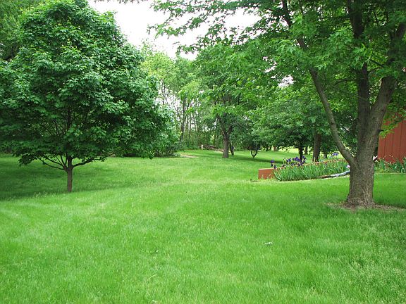 Backyard with mature trees