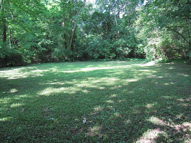 Wooded area back of lot