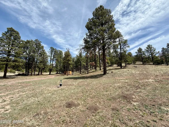 County Road N2276, Nutrioso, AZ 85932