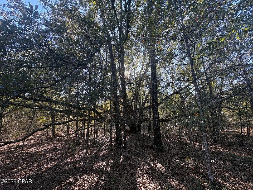 1st image of LOT 55 Owl Ct