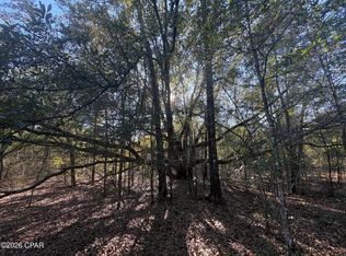LOT 55 Owl Ct, Marianna, FL 32448