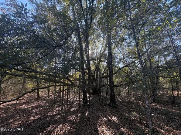 LOT 55 Owl Ct, Marianna, FL 32448