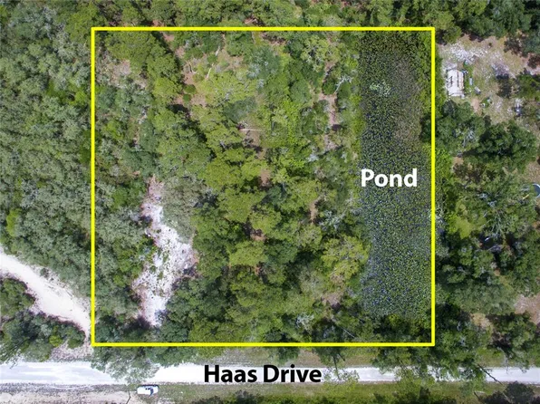 LOT 13 Haas Dr Lot 13, Webster, FL 33597