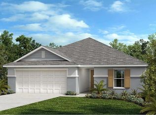 11704 Firespike St, Riverview, FL 33578