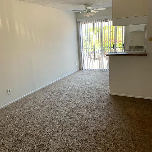 Bellingham Apartments — Photo 3