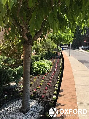 Rented by Oxford Property Group | media 43