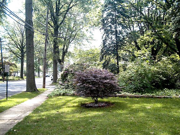 Home Situated on Lovely Tree Lined Street