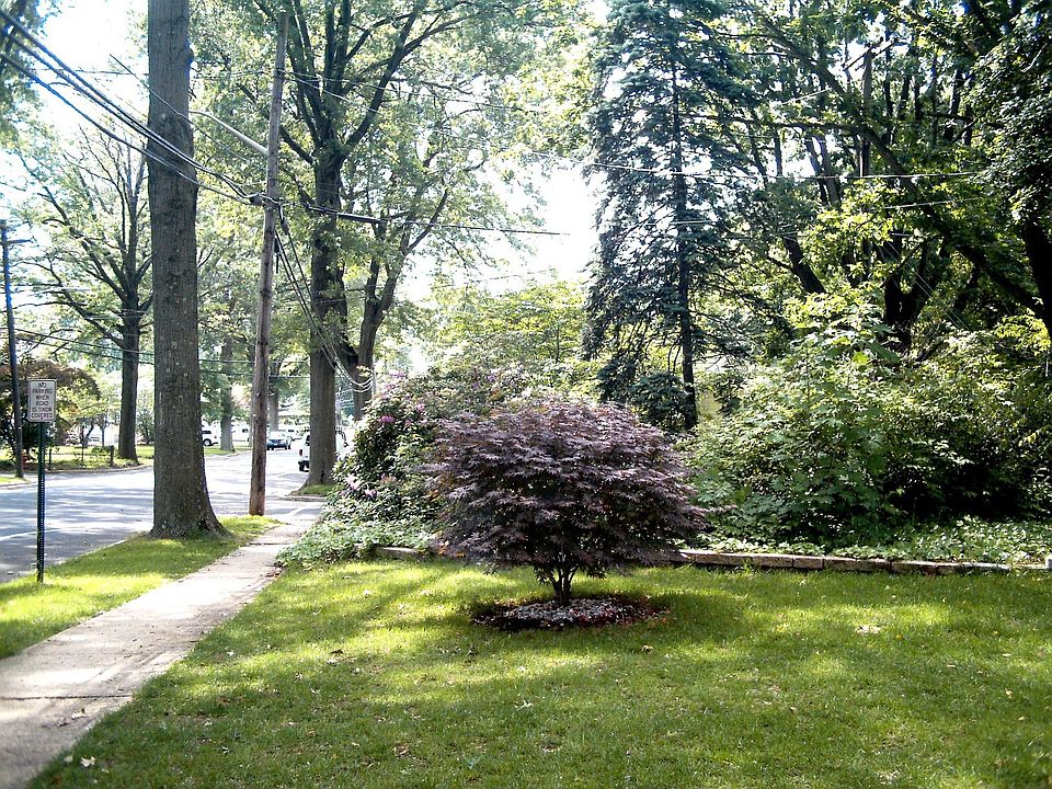 Home Situated on Lovely Tree Lined Street