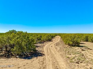 132 County Road 8061, Concho, AZ 85924