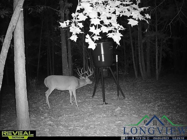 1st image of Tbd Cr 1769