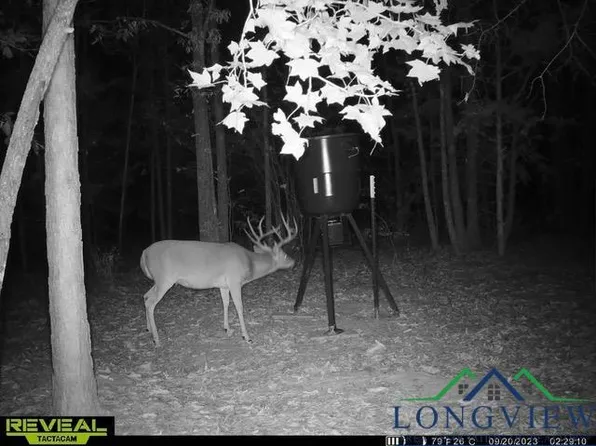 Tbd Cr 1769, Linden, TX 75563