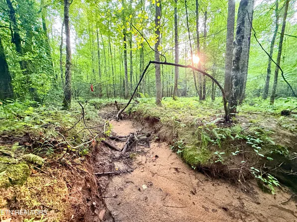LOT 4 Airport Rd, Rockwood, TN 37854