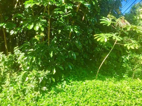 Puni Makai Loop N Lot 1020, Pahoa, HI 96778