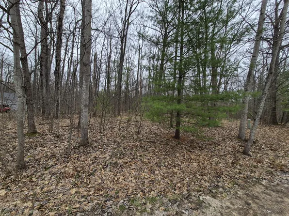 98 N Indian Wood Dr, Roscommon, MI 48653