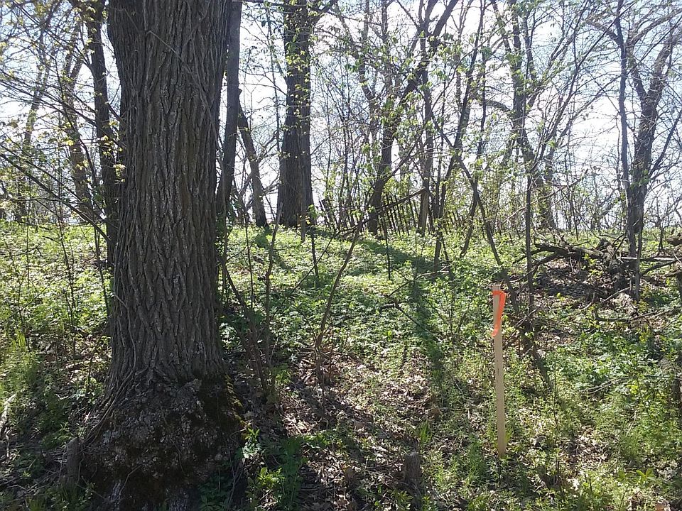 Sunset Ridge Rd S, Ashby, MN 56309 MLS 6328455 Zillow