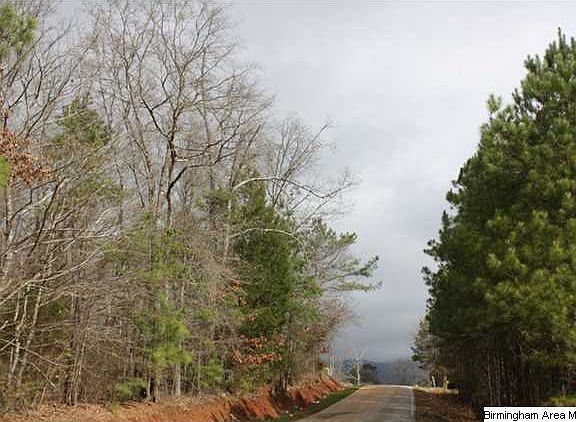 3rd image of Kelly Lynn Dr