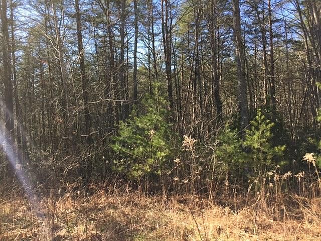 2nd image of 13 Gray Creek Rd #13