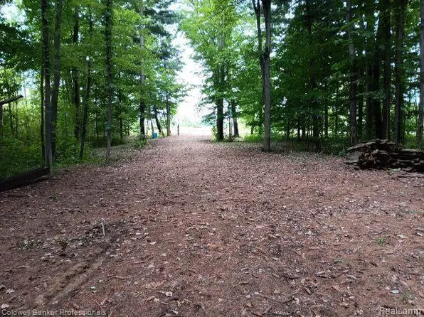 0 Mayville Rd, Silverwood, MI 48760