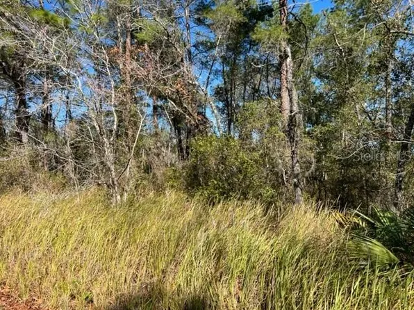 0 SE 63rd Pl #2, Morriston, FL 32668