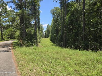 0 Cressionnie Dr, Carriere, MS, 39426