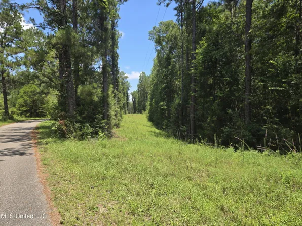 0 Cressionnie Dr, Carriere, MS 39426