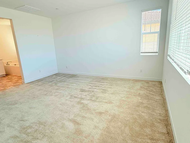 26541 Scotch Pine Cir — Photo 9