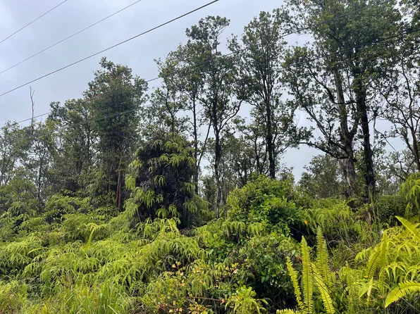 66 Jungle, Volcano, HI 96785