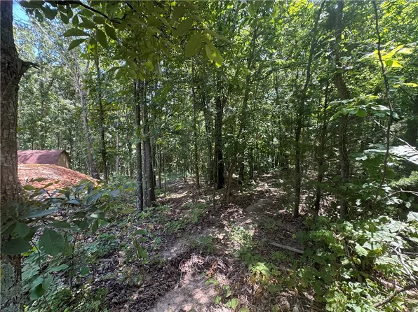 LOT 59 Posy Mountain Dr, Garfield, AR 72732