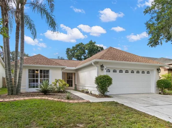 1209 Bloom Hill Ave, Valrico, FL 33596