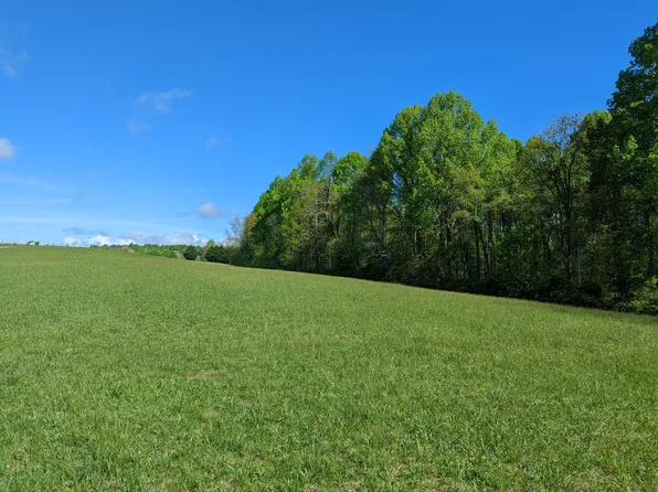 Tbd Pinnacle Ln, Meadows Of Dan, VA 24120