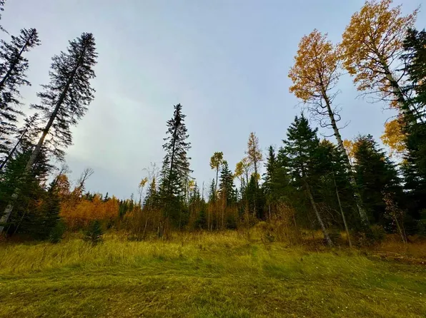 103 Meadow Ponds Dr, Clearwater County, AB T0M 0C0