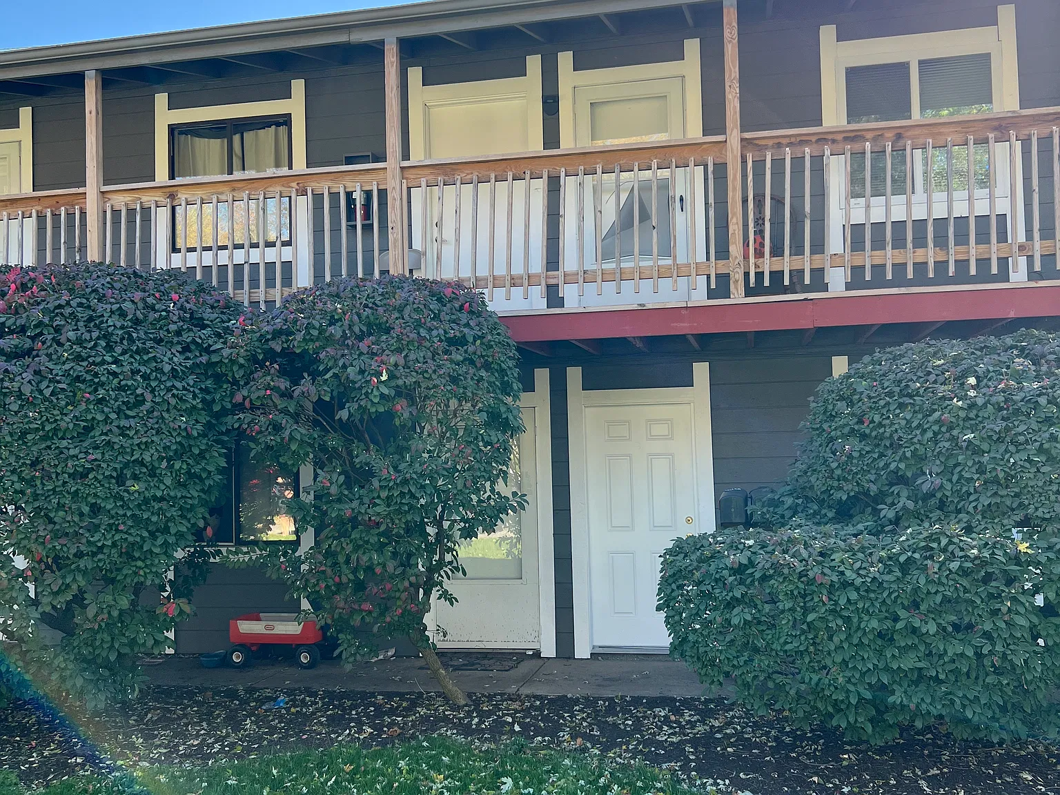 1 bed, 650 sqft, $800 — Photo 2