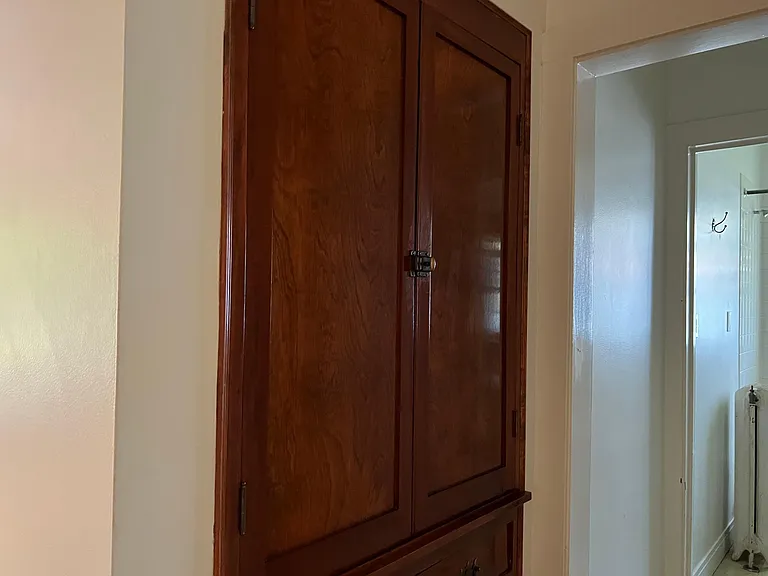 50 Lincoln Ave #1S — Photo 8