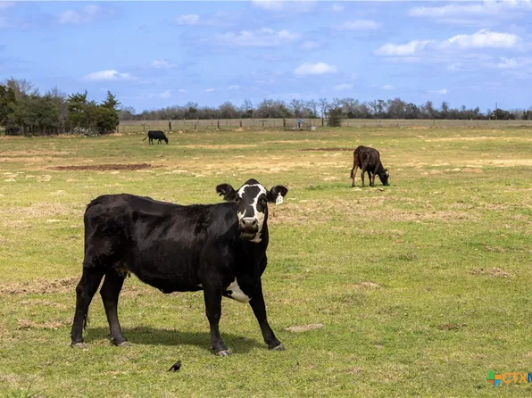 LOT 12 Mule Creek Rd, Harwood, TX 78632