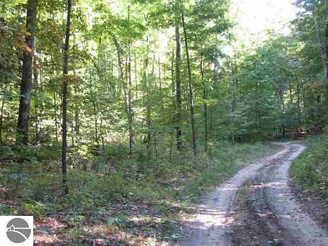 1st image of Off Benzonia Trl