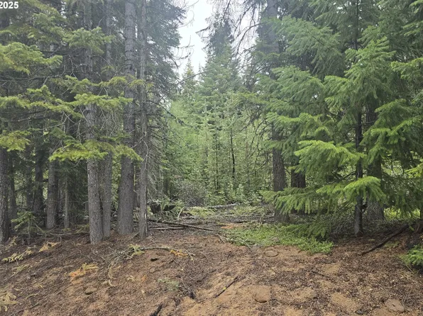 4 Royce Pine Rd, Crescent, OR 97733