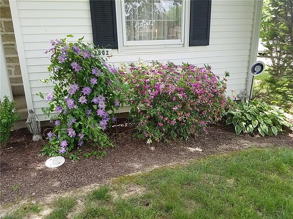 3rd image of 2602 Ardenwood Pl