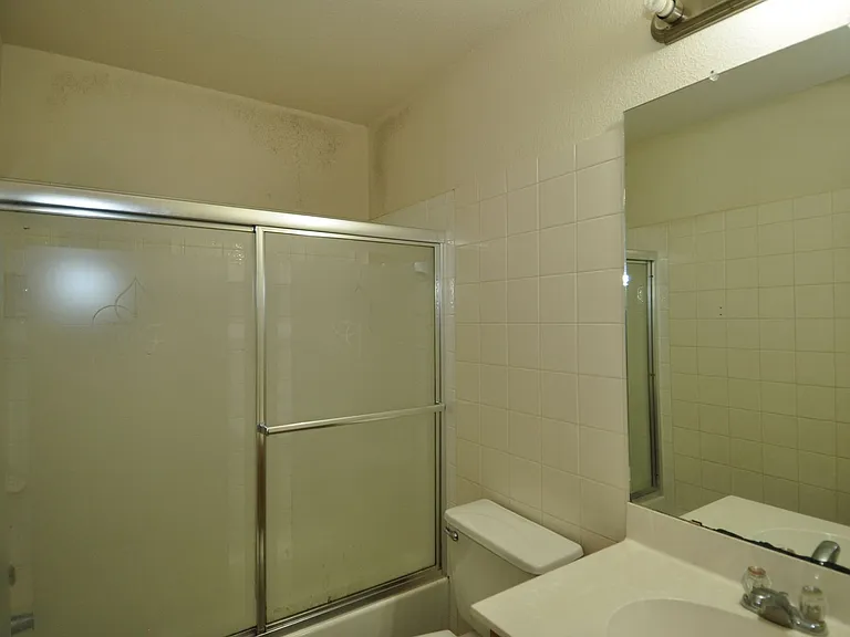 1409 Tea Leaf Dr — Photo 13