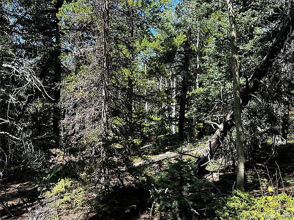 5th image of 3241 Zipf Lane LOT 3241