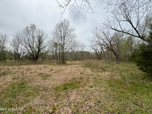 Pinehaven Dr, Jackson, MS 39209