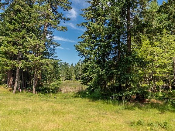 So much room to play!