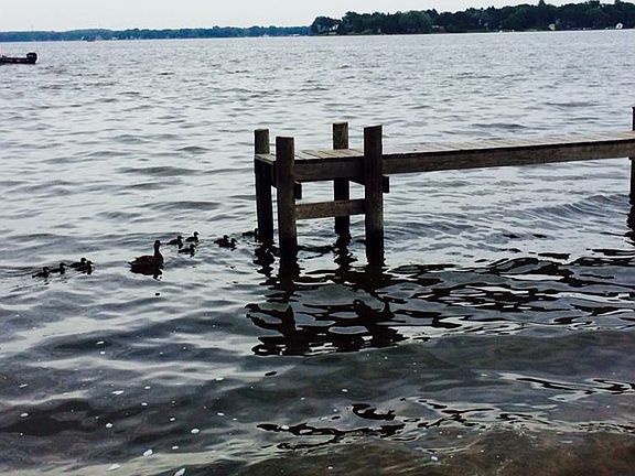 Association Boat Docks