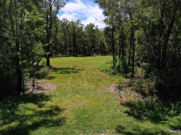 4815 Olaf St, Hastings, FL 32145