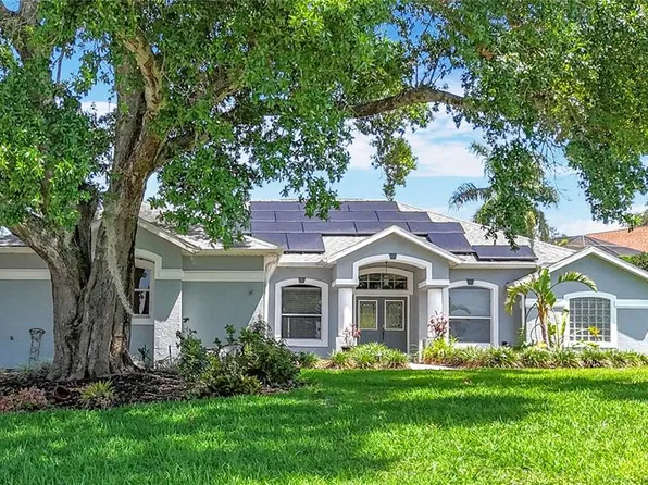 5311 Saddleback Ct, Lady Lake, FL 32159