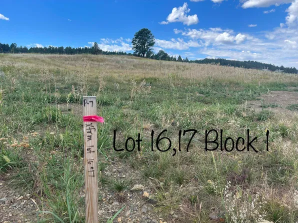 16 Stone Hill Dr, Custer, SD 57730